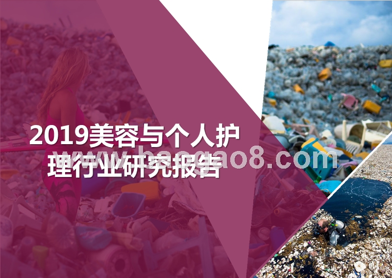 2019美容与个人护理行业研究报告.pptx_第1页