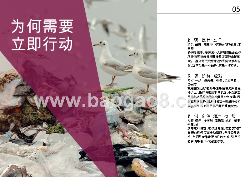 2019美容与个人护理行业研究报告.pptx_第2页