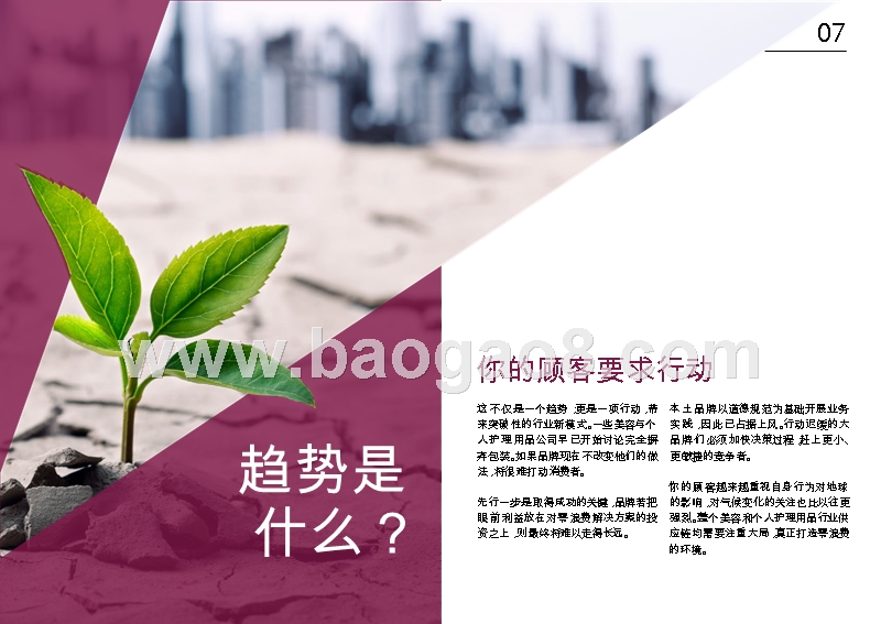 2019美容与个人护理行业研究报告.pptx_第3页