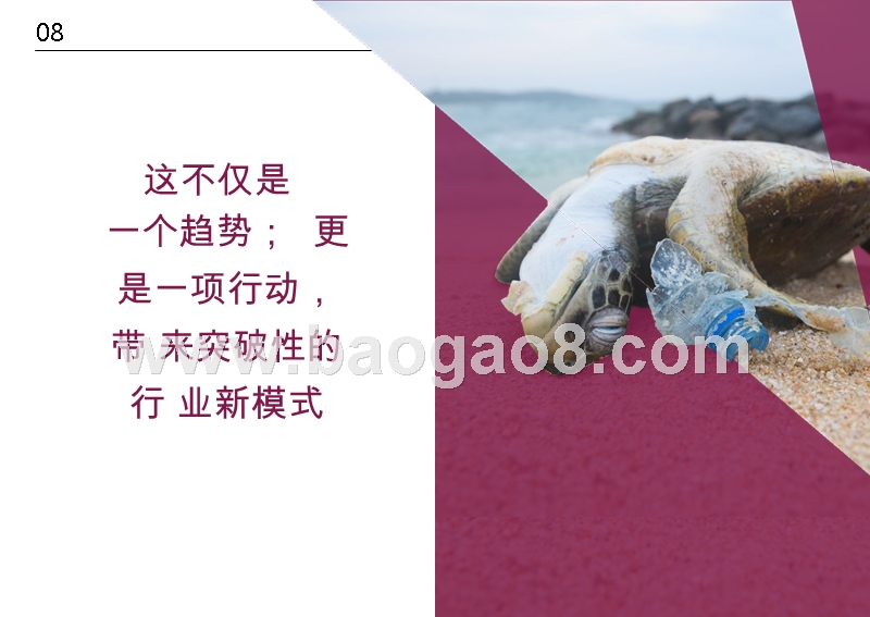 2019美容与个人护理行业研究报告.pptx_第4页