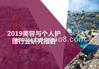 2019美容与个人护理行业研究报告.pptx