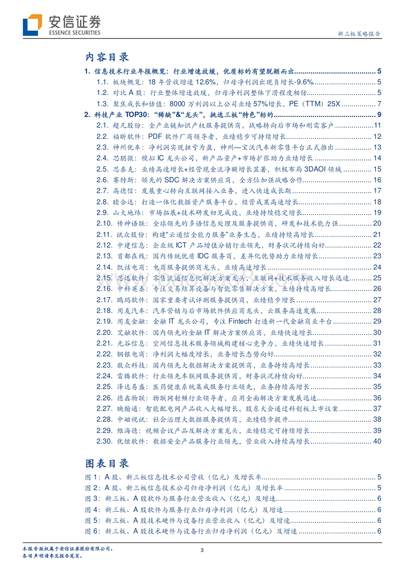 信息技术行业2018年TOP30公司.pdf_第3页