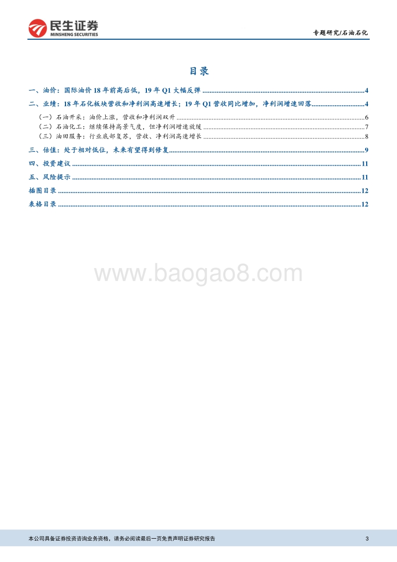 石油石化专题报告：18年营收和净利润双增，19年Q1净利润下降.pdf_第3页
