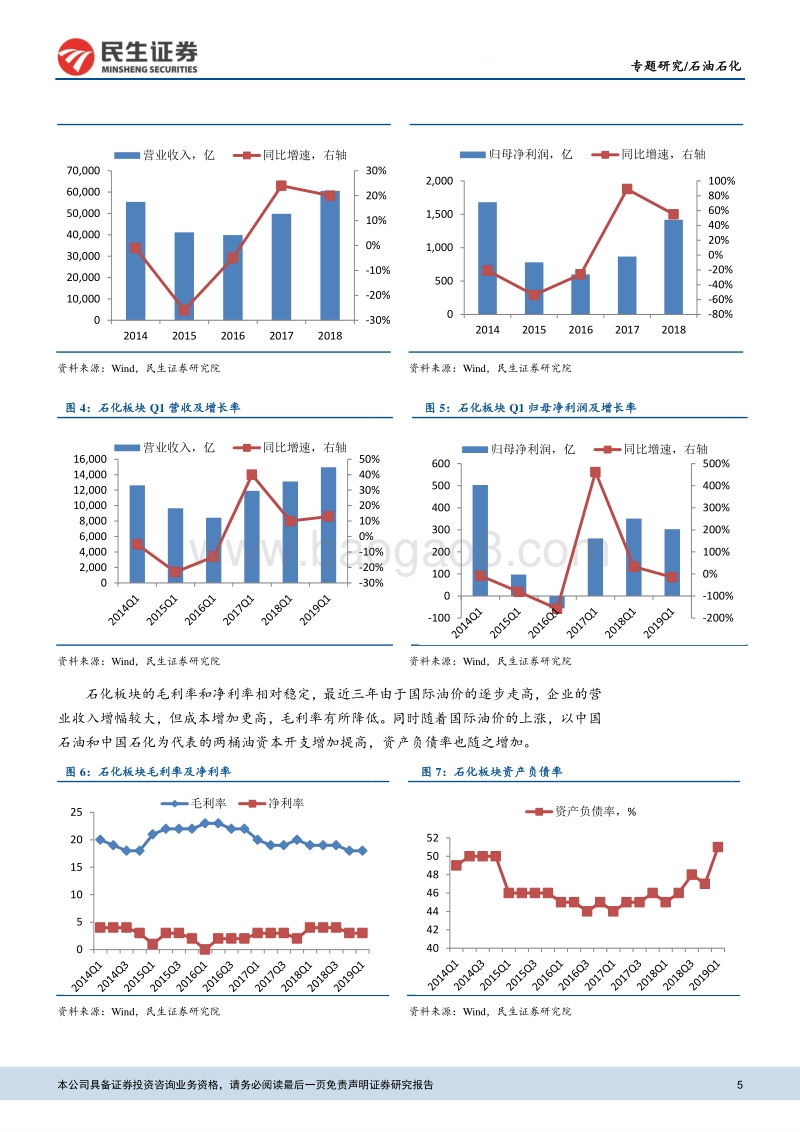 石油石化专题报告：18年营收和净利润双增，19年Q1净利润下降.pdf_第5页