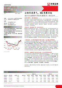 通信行业2018年年报和2019年一季报总结：云物车高景气，5G竞赛兴起.pdf