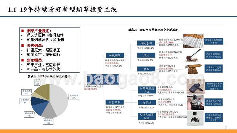 2019年轻工行业新型烟草发展分析报告.pptx_第5页