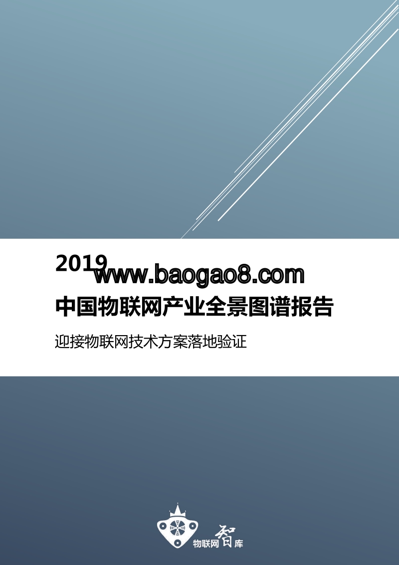 2019中国物联网产业全景图谱报告.pdf_第1页