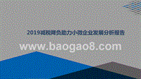 2019减税降负助力小微企业发展分析报告.pptx