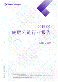 2019年Q1底层公链行业报告.pdf