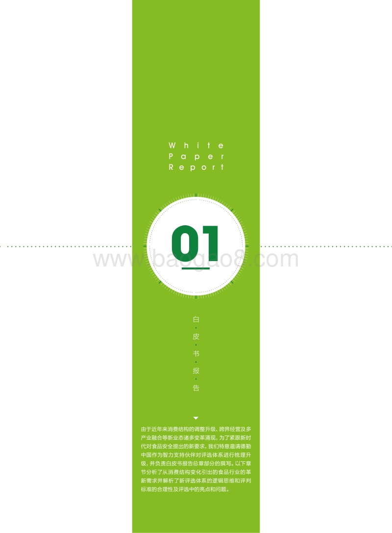 2019七星联盟食品安全白皮书报告.pdf_第3页