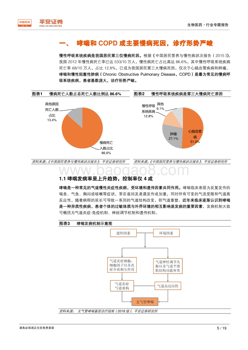 呼吸吸入制剂——待开垦的处女地.pdf_第5页