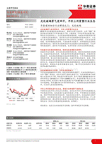 光伏玻璃：光伏玻璃景气度回升，平价上网重塑行业生态.pdf