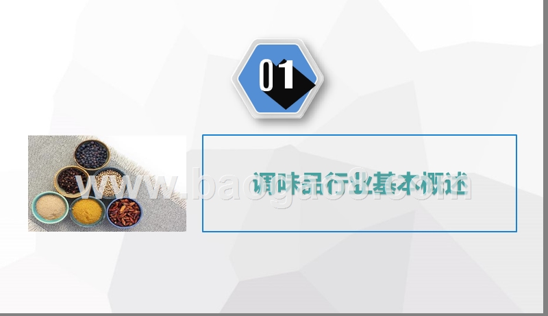 2019年中国调味品市场发展分析报告.pptx_第4页