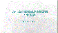 2019年中国调味品市场发展分析报告.pptx