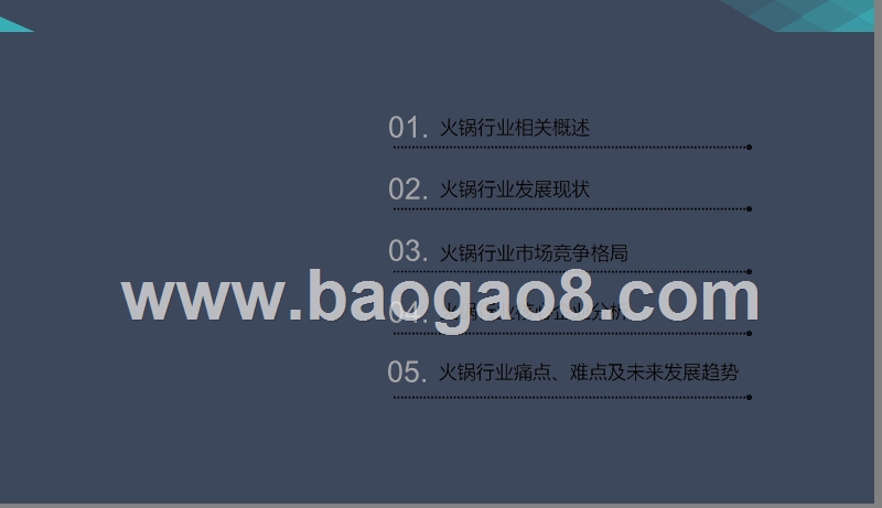 2019年火锅行业发展分析报告.pptx_第2页