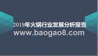 2019年火锅行业发展分析报告.pptx