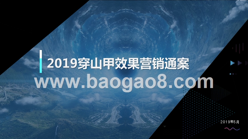 2019穿山甲效果营销通案.pptx_第1页