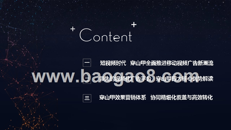 2019穿山甲效果营销通案.pptx_第2页