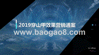 2019穿山甲效果营销通案.pptx