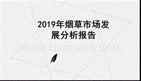 2019年烟草市场发展分析报告.pptx