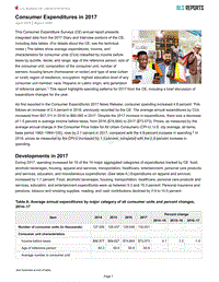 2017年美国消费者支出调查报告.pdf