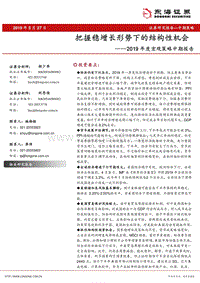 2019年度宏观策略中期报告：把握稳增长形势下的结构性机会.pdf