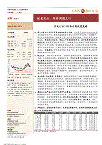 家电行业2019年中期投资策略：配置龙头，等待周期上行.pdf