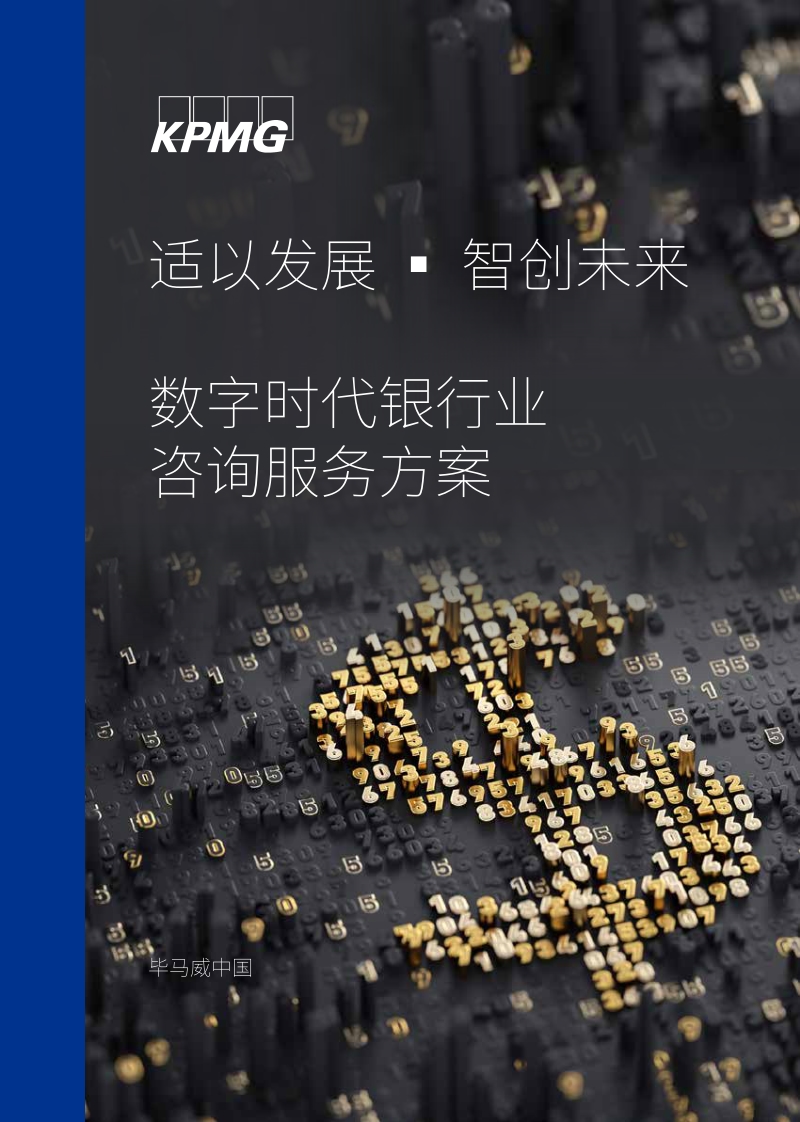 数字时代银行业咨询服务方案.pdf_第1页