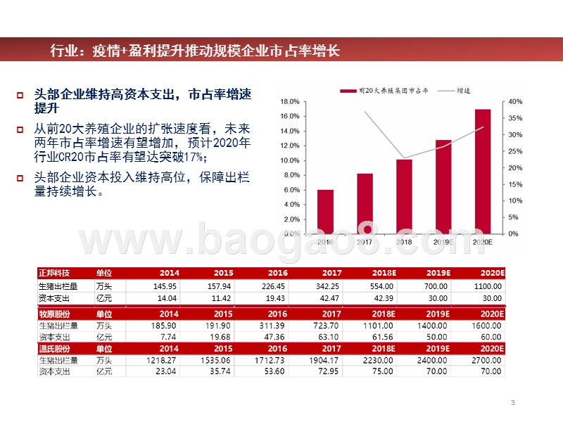 2019年农业市场发展前景研究报告.pptx_第3页