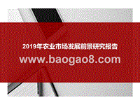 2019年农业市场发展前景研究报告.pptx
