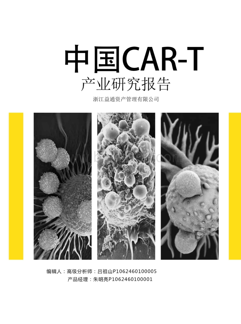 中国CAR-T产业研究报告.pdf_第1页