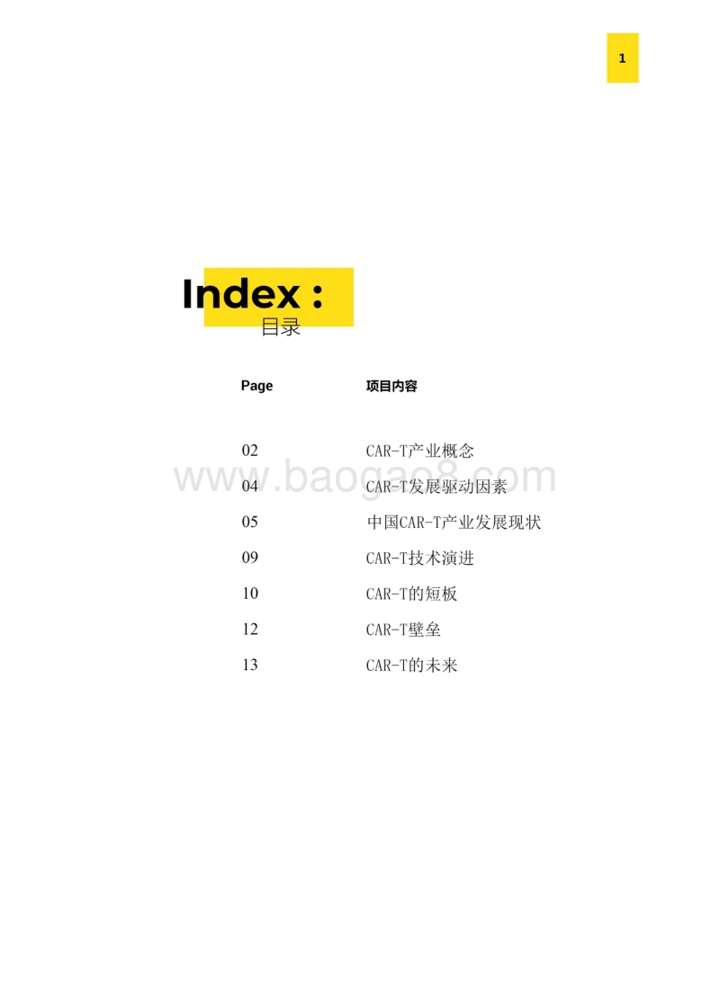 中国CAR-T产业研究报告.pdf_第3页