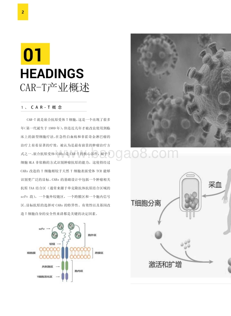 中国CAR-T产业研究报告.pdf_第4页