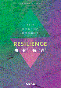 2019中国商业地产投资策略报告.pdf