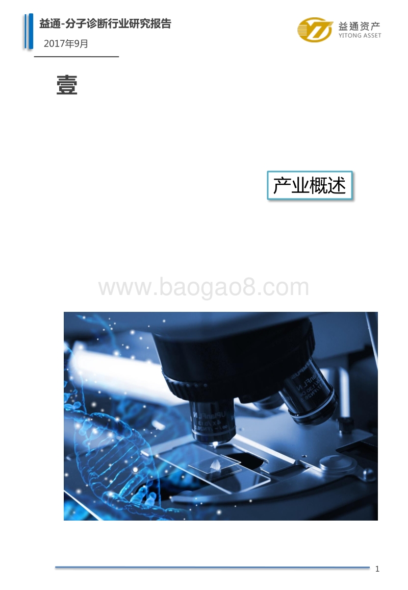 2017中国分子诊断产业研究报告.pdf_第4页