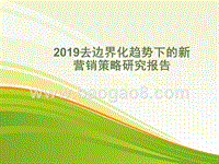 2019去边界化趋势下的新营销策略研究报告.pptx