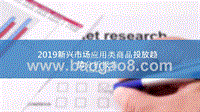 2019新兴市场应用类商品投放趋势分析报告.pptx