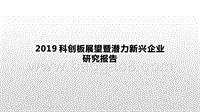 2019科创板展望暨潜力新兴企业研究报告.pptx