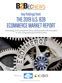 2019年美国B2B电子商务报告.pdf