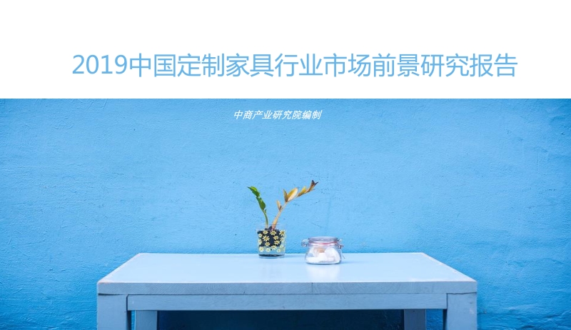 2019中国定制家具行业市场前景研究报告.pdf_第1页