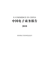 中国电子商务报告2018.pdf