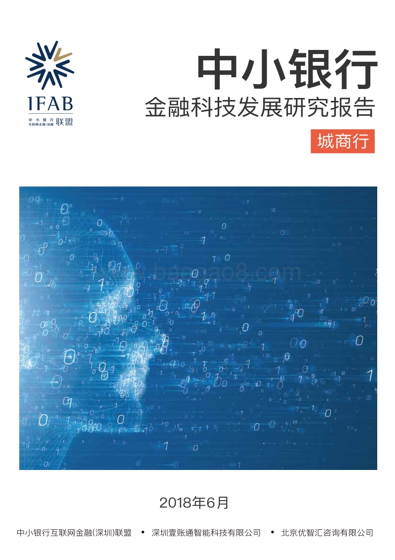 中小银行金融科技发展研究报告.pdf_第1页