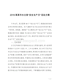 2019某某市水文局“安全生产月”活动方案.doc