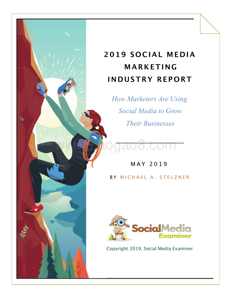 2019年社交媒体营销行业报告.pdf_第1页