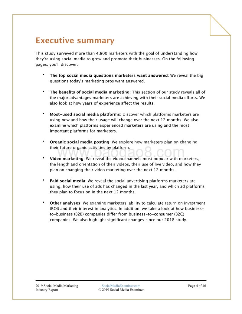 2019年社交媒体营销行业报告.pdf_第4页