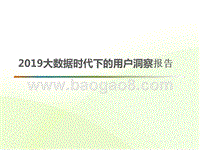 2019大数据时代下的用户洞察报告.pptx