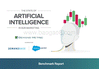 B2B营销人工智能使用情况.pdf