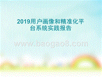 2019用户画像和精准化平台系统实践报告.pptx