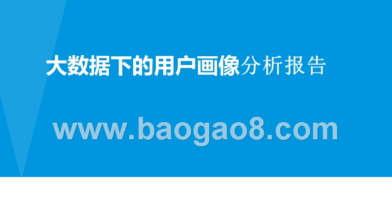 大数据下的用户画像分析报告.pptx_第1页