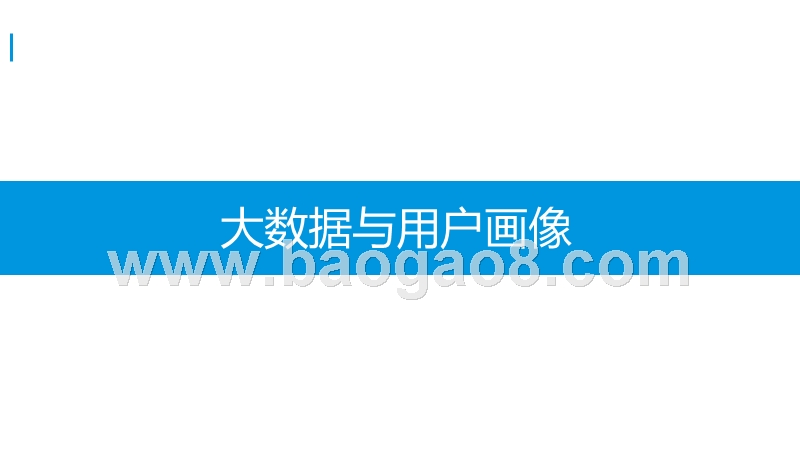 大数据下的用户画像分析报告.pptx_第2页